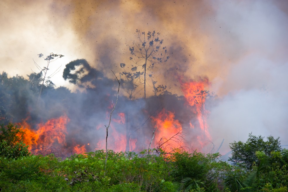 Queimada em área florestal da Amazônia: desmatamento e incêndios são risco direto à saúde pública — Foto: Getty Images