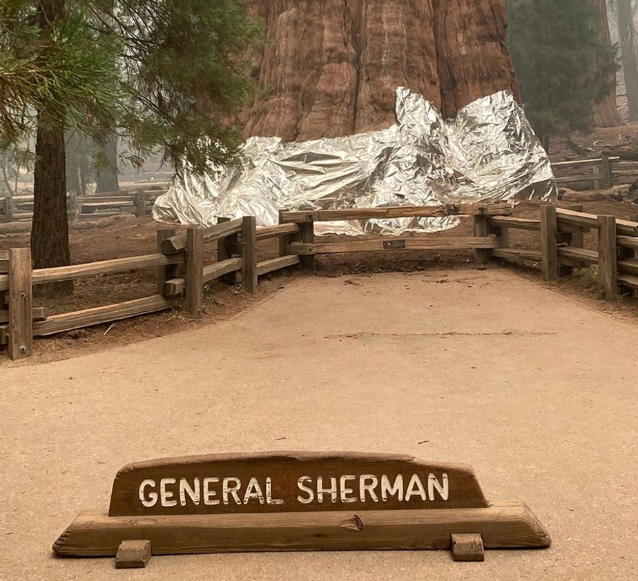 general sherman