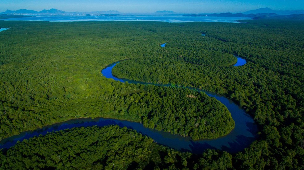 A APA Guapimirim, no Rio de Janeiro, foi a primeira unidade de conservação federal criada para proteção de manguezais. Hoje é referência de gestão e envolvimento comunitário nas ações de conservação e restauração.  — Foto: Marcio Isensee e Sá