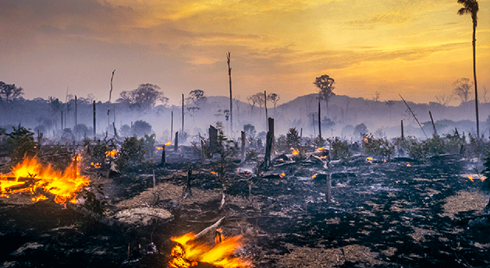 Incêndio na Amazônia. O desmatamento da floresta não está vinculado somente à produção direta de grãos ou de proteína animal — Foto: Brasil2/GettyImages