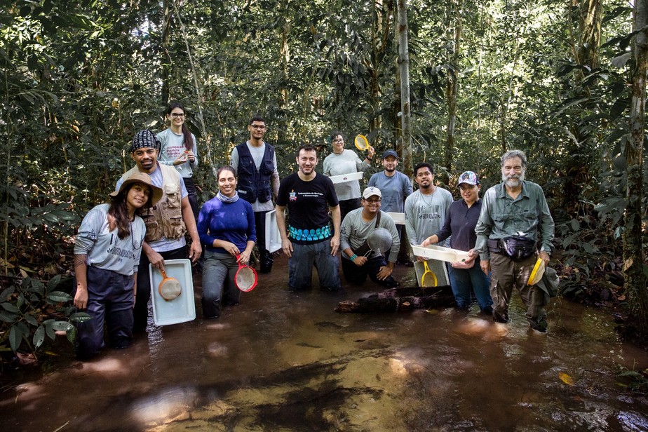 Pesquisadores, estudantes e integrantes de redes de monitoramento participativo da biodiversidade durante atividade de campo na Amazônia. A mobilização científica defende a criação do Dia Nacional da Biodiversidade e busca aproximar a sociedade do monitoramento ambiental.