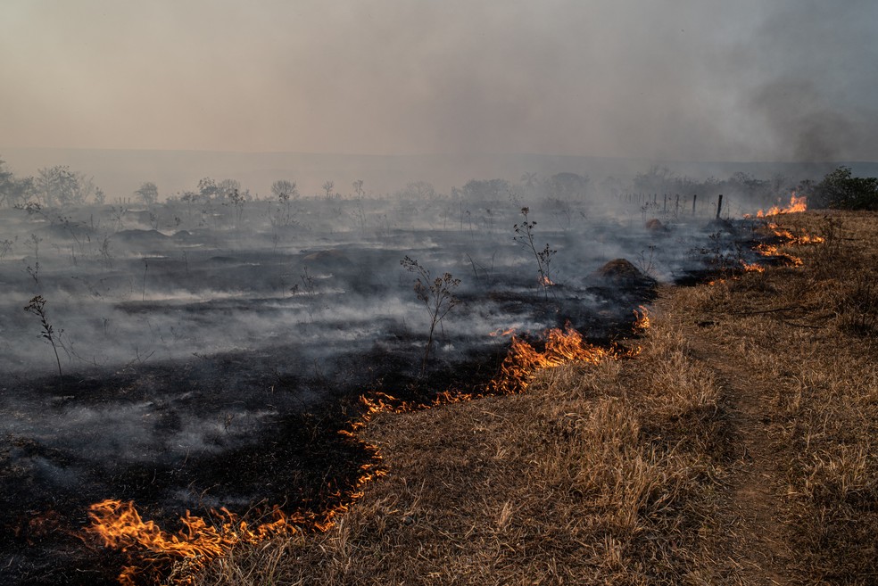 Imagens do fogo no Pantanal em 2020 trouxeram preocupação para o clima e os animais da região — Foto: Getty Images
