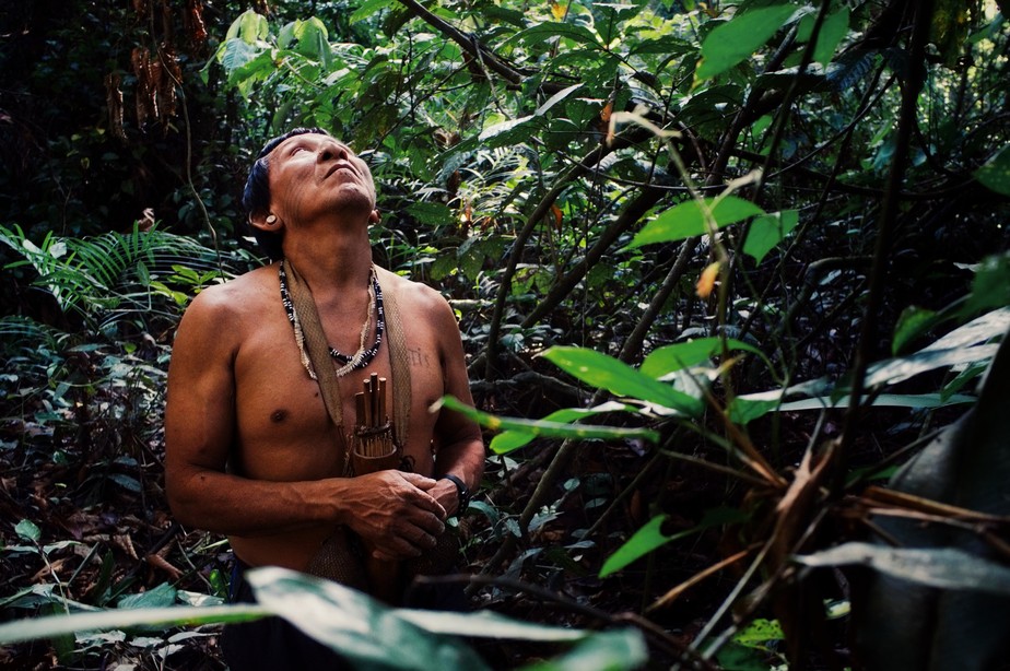 Amazônia é vida: mais de 30 milhões de pessoas compartilham espaço com a fauna e flora.