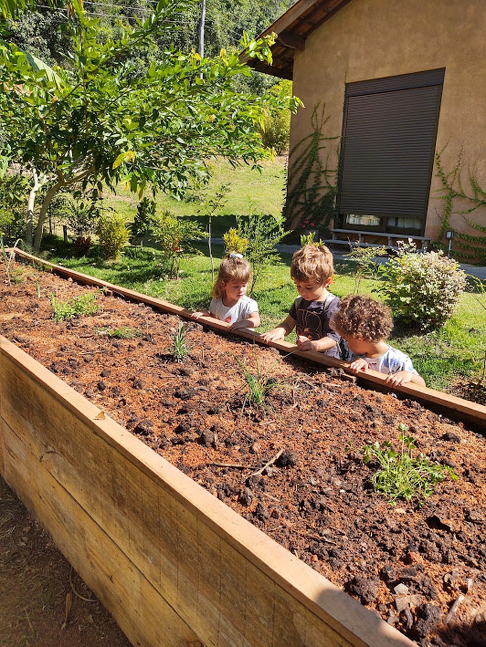Mãozinhas na terra: as crianças ajudam no plantio da horta. — Foto: Fernanda Caloi/ Acervo Pessoal
