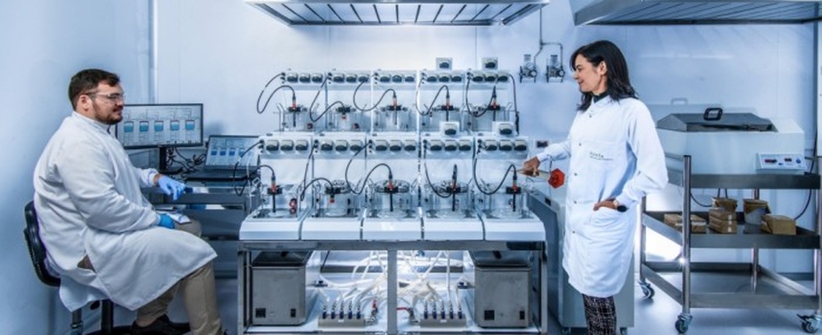 Biotech quer transformar ativos da biodiversidade brasileira em ...