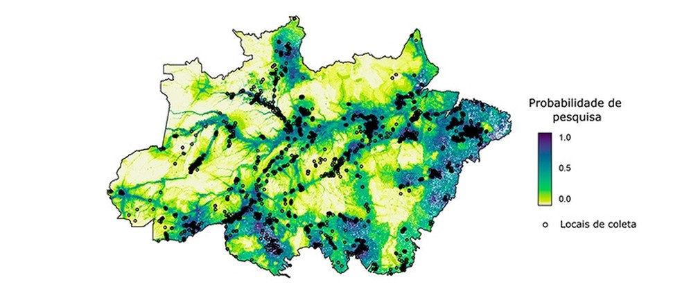 Estudo identifica áreas da Amazônia mais e menos conhecidas por estudos científicos. Os espaços mais claros e que tendem ao verde são os menos estudados — Foto: Alexandre Rees/Agência Fapesp