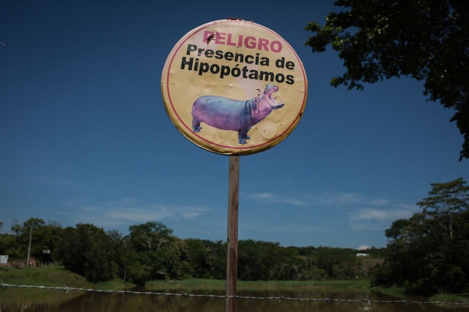 hipopotamo escobar