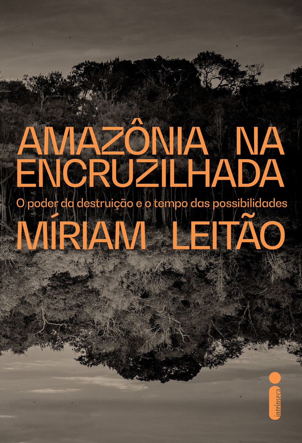 Livro "Amazônia na encruzilhada: O poder da destruição e o tempo das possibilidades" — Foto: Divulgação