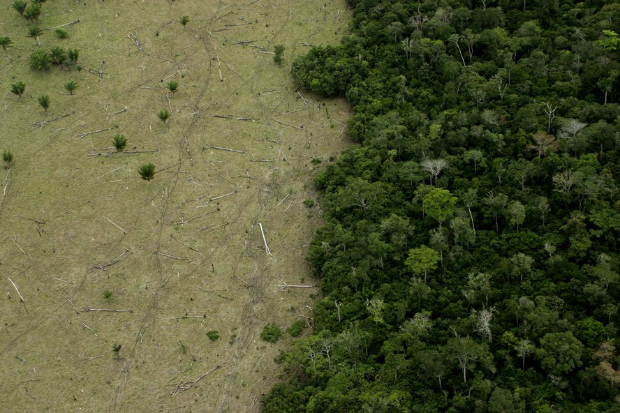 Desmatamento Amazônia:  queda de 42,5% nos alertas de janeiro a julho de 2023.
