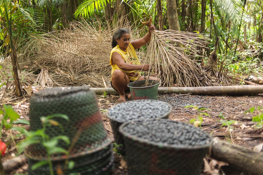 Empreendedorismo feminino na Amazônia: mulheres lideram cases inovadores que carregam a herança cultural da região