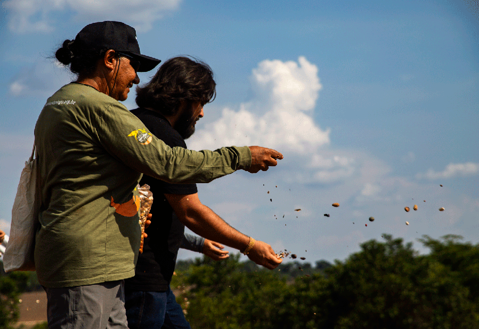 Restauração ecológica com sementes do Xingu. — Foto: Bianca Moreno/ ISA e ARSX