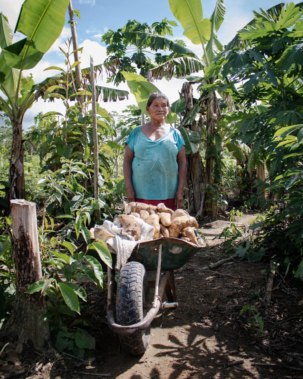 Izabel, mãe da tuxaua da comunidade, com as mandiocas recém-colhidas da sua roça — Foto: Amanda Magnani