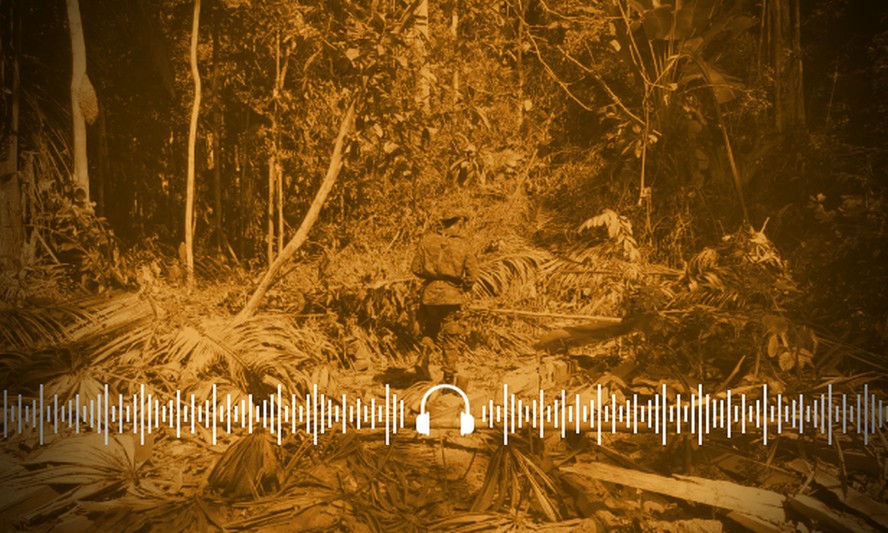 Sem fiscalização, grilagem de florestas públicas ganham força na Amazônia