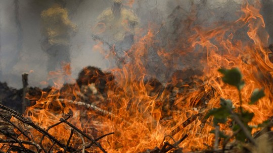 Pantanal entra em alerta com alta de 898% nos focos de incêndio este ano