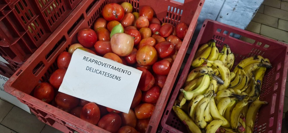 Alimentos retirados dos expositores por estarem fora dos padrões de consumo — Foto: Ívina Garcia/Um Só Planeta