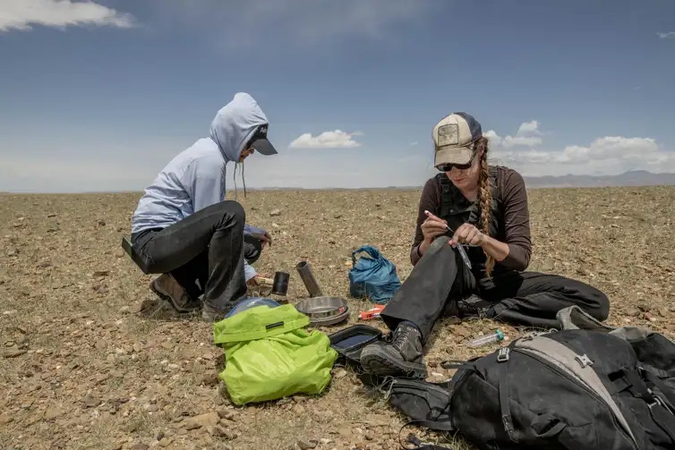 Pesquisadoras usam fungos para recuperar solo e conter crise climática. — Foto: Tomas Munita/SPUN