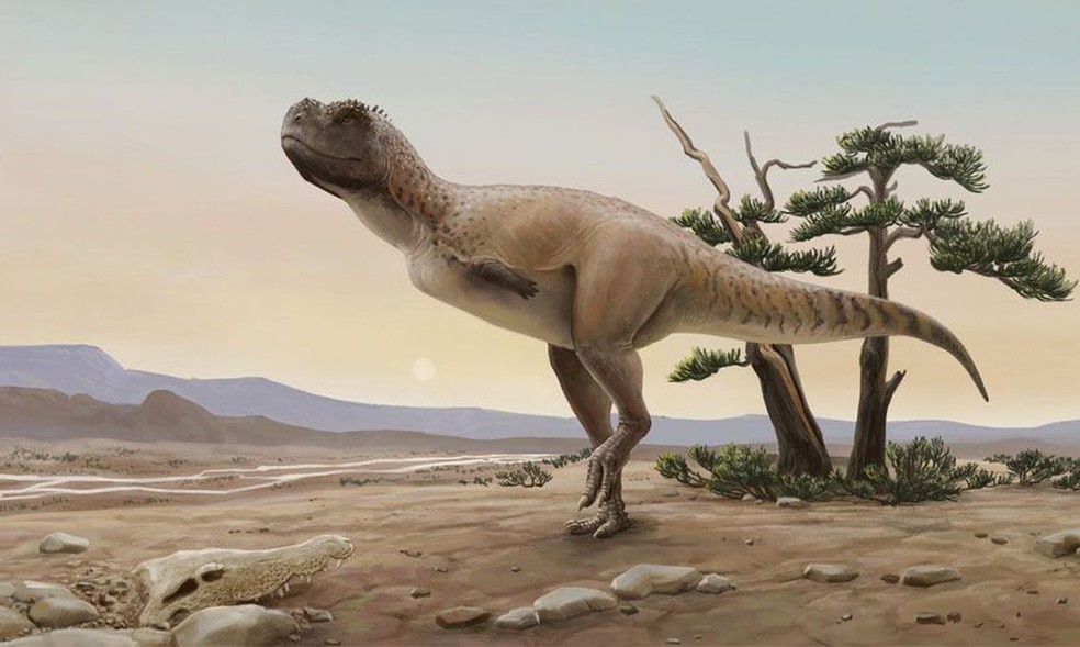 Nova espécie de dinossauro carnívoro foi descoberta em São Paulo — Foto: Julia d'Oliveira/Divulgação/Direitos Reservados