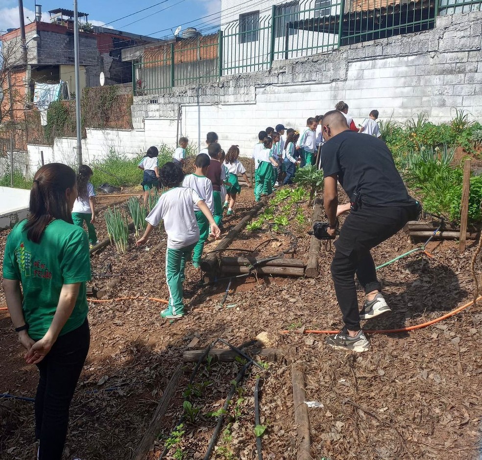 Crianças na horta da EMEIEF. — Foto: Adriane Este/Acervo Pessoal