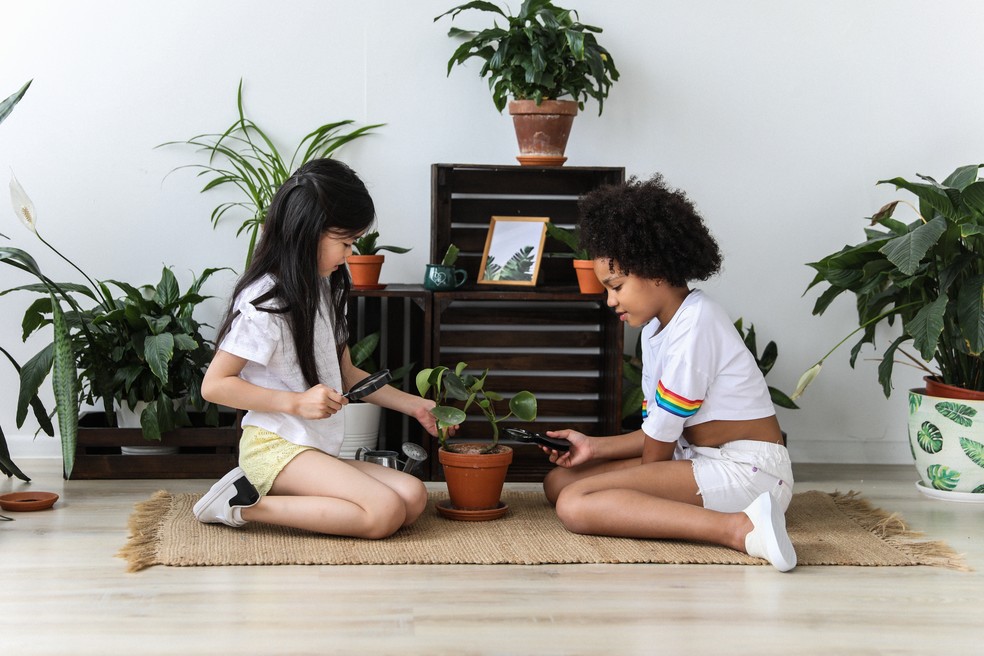 Crianças mexendo com plantas — Foto: Monstera/Pexels