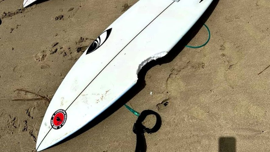 Um dos recentes ataques de tubarão-touro em Nova Gales do Sul foi contra um surfista de 39 anos que foi mordido perto da cidade de Port Macquarie.