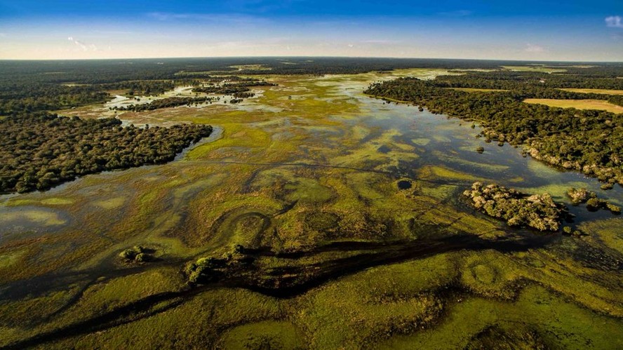 Vazante no Pantanal