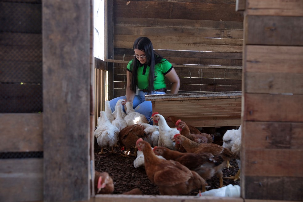 Paula é uma das estudantes mais dedicadas da escola — Foto: Marizilda Cruppe