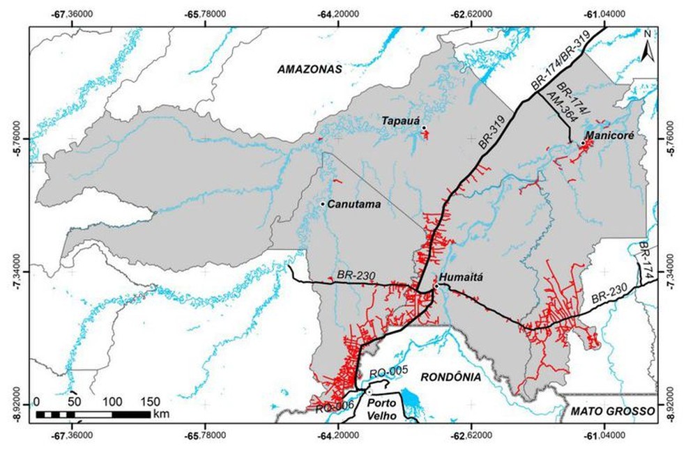 Mapa mostra ramais na floresta que acompanham a BR-319 nos municípios de Canutama, Humaitá, Manicoré e Tapauá, no sul do Amazonas. — Foto: Arte/Nota técnica OBR-319
