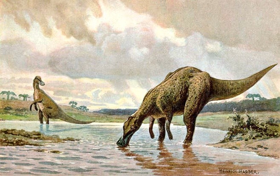 Dinossauros tinham sangue quente e produziam próprio calor. Acima: representação artística de dois hadrossauros — Foto: Wikimedia Commons