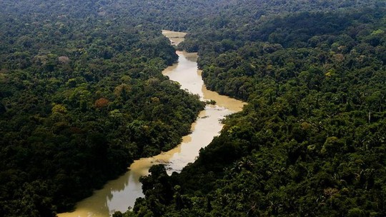 Os desafios para preservar florestas tropicais no Brasil, Congo e Indonésia e como superá-los