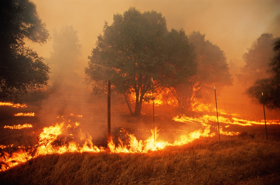incêndio california