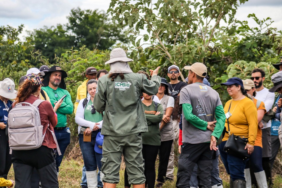 Visita técnica a áreas de restauração do ICMBio na Chapada dos Veadeiros: troca de experiência para auxiliar projetos do edital Corredores da Biodiversidade, da iniciativa "Floresta Viva". — Foto: Vitor Saraiva