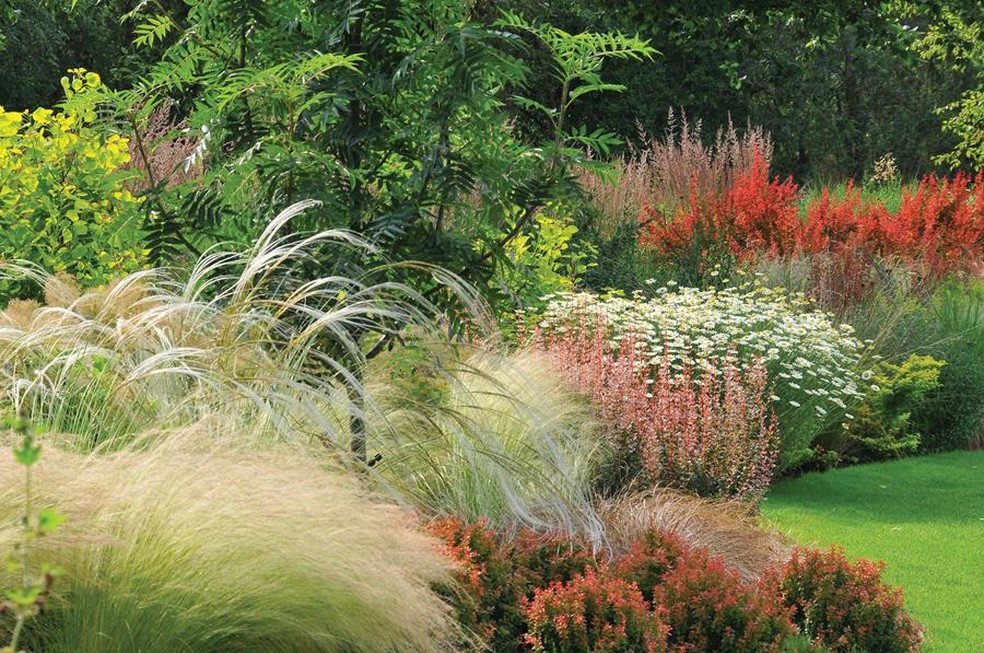 Jardim de John. — Foto: Divulgação