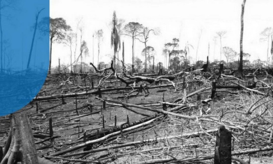 Desmatamento dentro da Reserva Extrativista Chico Mendes