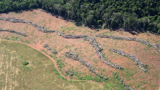 Custo ambiental do desmatamento e da soja no leste da Amazônia chega a R$ 10 bilhões, revela estudo