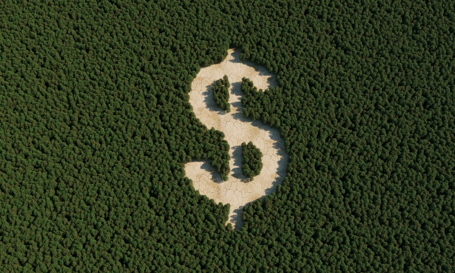 COP28: Gestora financeira lança fundo exclusivo para questões climáticas no Brasil