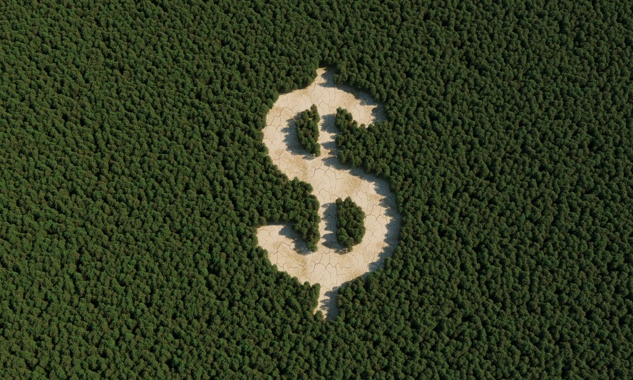 Ações sustentáveis imediatas podem gerar US$ 10 trilhões em negócios, aponta relatório do IPBES