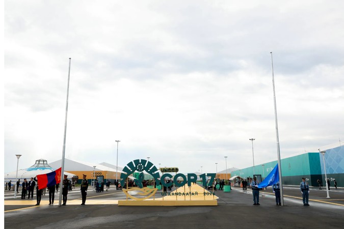 Capa fotográfica da fonte da Terra Adentro: Nordeste apresenta governança inédita na COP17