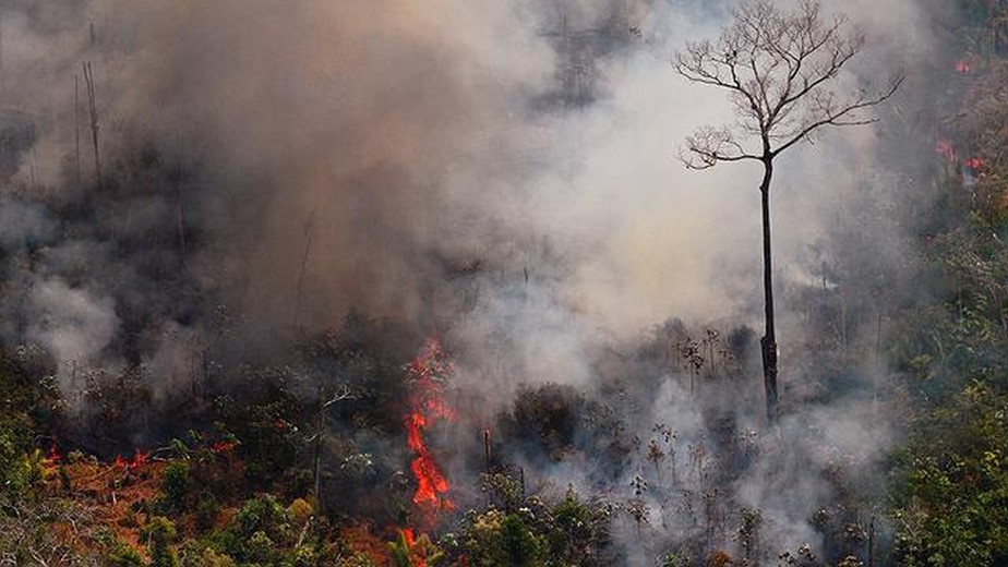 Superficie quemada en Brasil cae un 31% en 2025