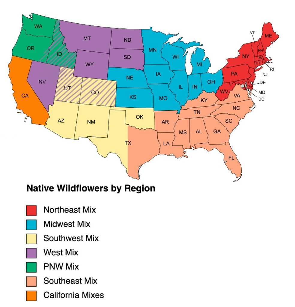 Mapa da SFinBloom divide EUA de acordo com as flores nativas de cada região — Foto: Reprodução