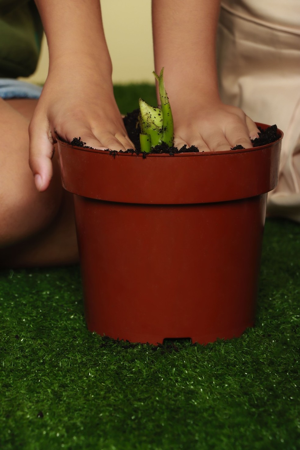 Vaso de plantas — Foto: Foto e Modelos: Max Fama