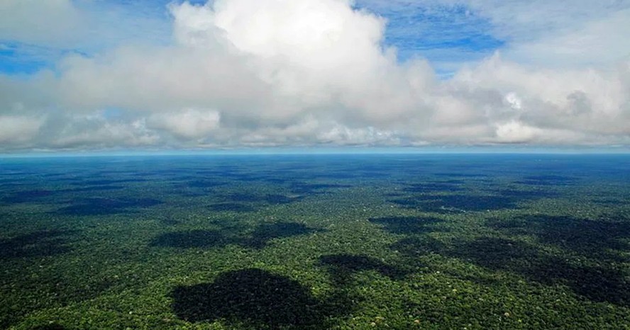 Habitação típica da Amazônia