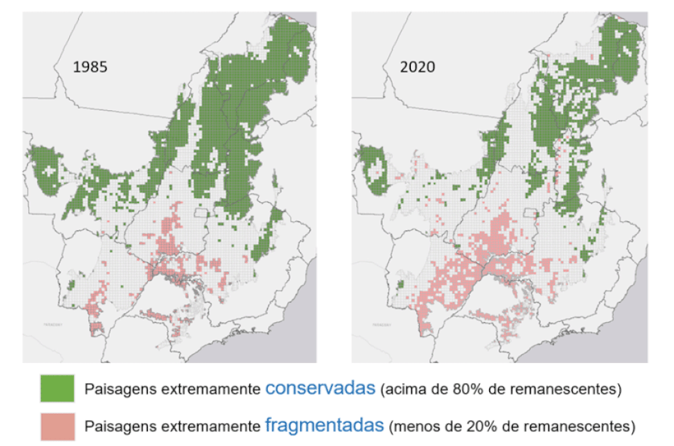 Mapa da TNC: atualmente 23% do Cerrado está em situação crítica, com menos de 20% da vegetação natural.  — Foto: Divulgação TNC
