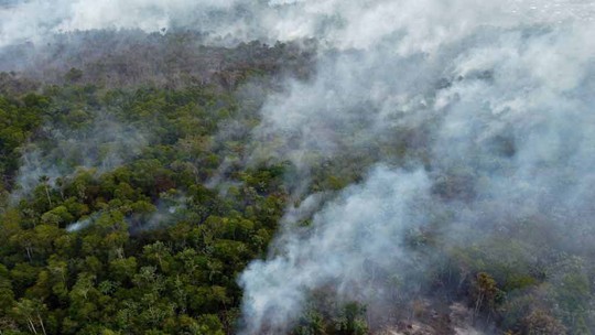 Amazonas registra segundo pior setembro de queimadas da sua história desde 1998, mas tem melhora em relação a 2022 