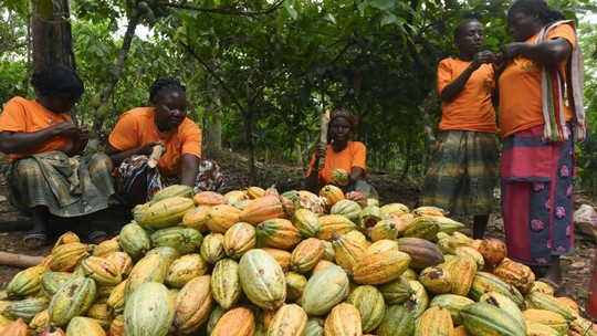 Taxa de desmatamento da Costa do Marfim aumenta e gera preocupação com nova lei de importações europeia
