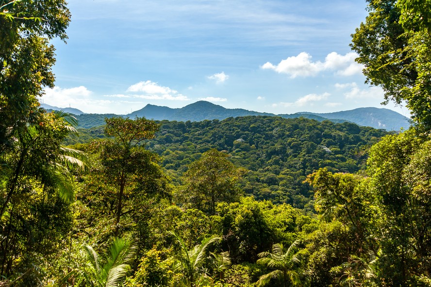 Parque nacional da Floresta da Tijuca, no Rio de Janeiro