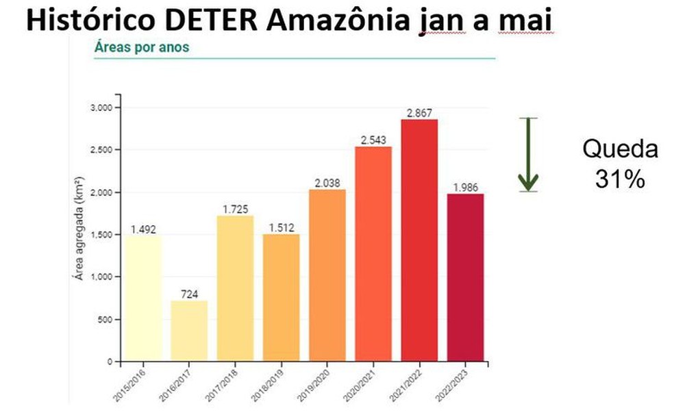 Desmatamento na Amazônia cai 31% de janeiro a maio. — Foto: TerraBrasilis