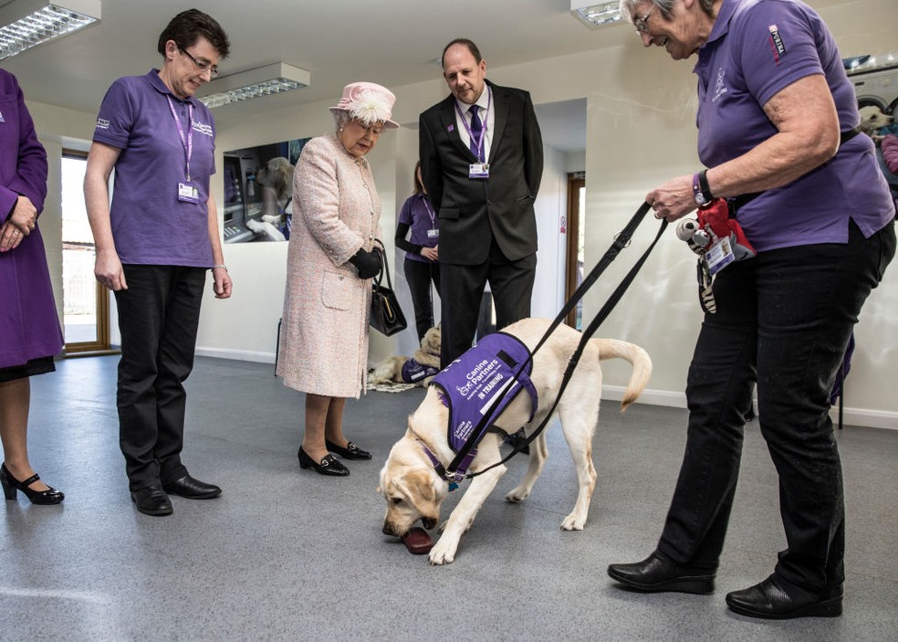 A rainha assiste a uma demonstração de labradores da instituição de caridade "Canine Partners" na Inglaterra. — Foto: Getty Images