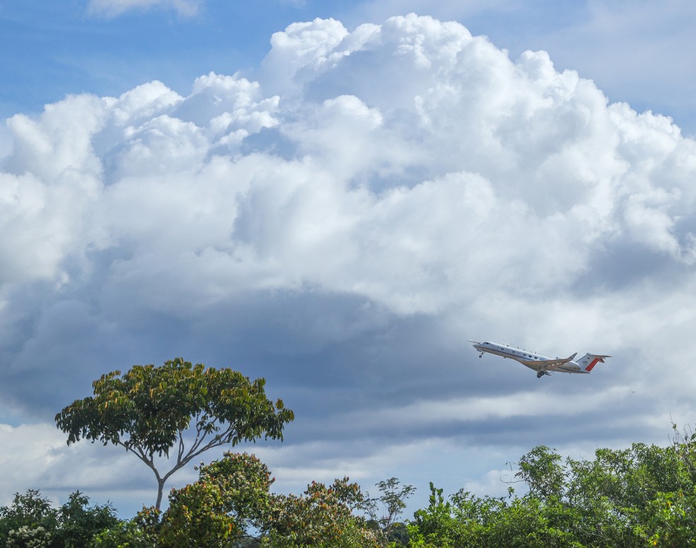 Avião Halo sobrevoa a Amazônia para realizar medições da química da atmosfera — Foto: Dirk Dienhart / Instituto Max Planck de Química