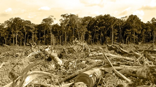 Boas intenções não bastam: Organização do Tratado de Cooperação Amazônica (OTCA) precisa de mais integração para proteger a floresta