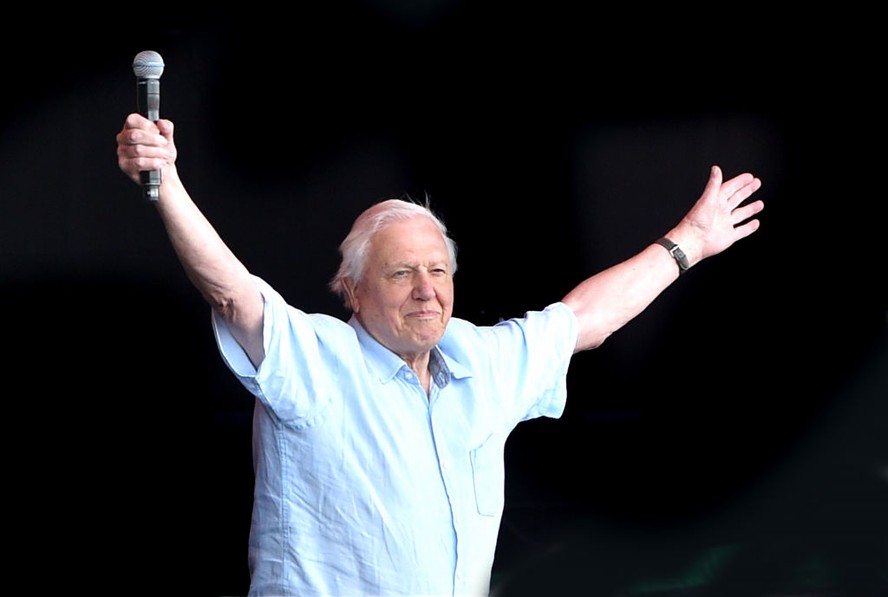 David Attenborough apareceu de surpresa no festival de música Glastonbury